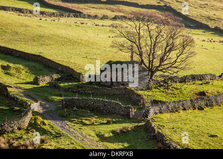 Une grange en pierre sur un Hartsop fellside près de Lakeland, Lake District, Cumbria Banque D'Images