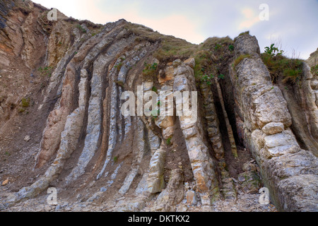 Rock formation à Man O' War Cove près de Durdle Door sur la côte jurassique, Dorset, Angleterre. Banque D'Images