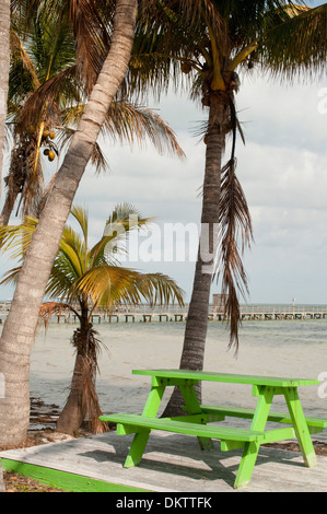 Une table de pique-nique vert donne sur Charlotte Harbor dans Bokeelia, en Floride. Banque D'Images