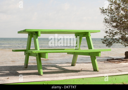 Une table de pique-nique vert lumineux donne sur la plage. Banque D'Images