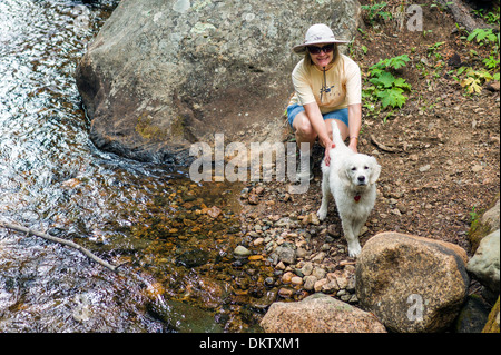 Femme et quatre mois Golden Retreiver dog couleur platine, l'Fooses Creek, Rocky Mountains, Colorado, USA Banque D'Images