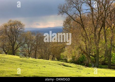 Vue depuis le Dover's Hill près de Chipping Campden de l'approche de nuages de pluie. Le Gloucestershire, Angleterre. Banque D'Images