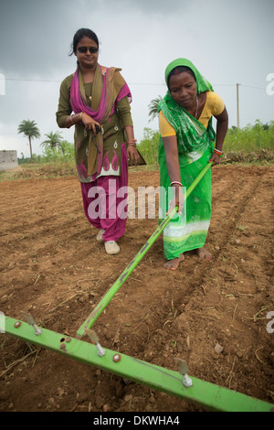 Une femme reçoit une formation agricole à l'aide d'un râteau de notation dans les rangs de l'État de Bihar, Inde Banque D'Images