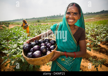 Dans l'État du Bihar agricultrice, de l'Inde. Banque D'Images