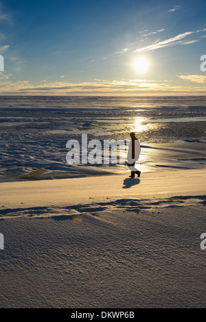 Homme marchant sur les bords de la Sag river se jette dans la mer de Beaufort de Prudhoe Bay en Alaska Océan Arctique Deadhorse USA Banque D'Images