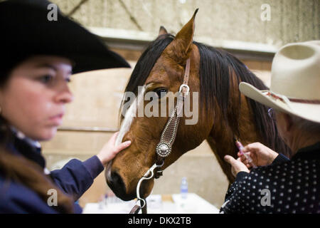 Le 28 janvier 2010 - Redding, Californie, USA - Sara Van Meter, gauche, attend alors qu'un échantillon de sang est pris d'elle gelding jeudi à la 69e assemblée annuelle et Bull Red Bluff Vente hongre au District de Tehama parc des expositions. Des échantillons de sang sont pris au hasard sont testés pour les stéroïdes, anti-inflamatories, et d'autres drogues.. Nathan Morgan/enregistrement de projecteur. (Crédit Image : © Redding Notice Searchl Banque D'Images