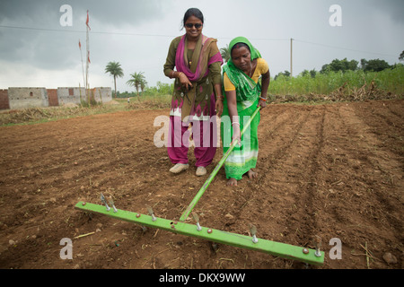 Une femme reçoit une formation agricole à l'aide d'un râteau de notation dans les rangs de l'État de Bihar, Inde Banque D'Images