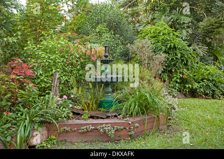 Un spectaculaire jardin sub-tropical avec une fontaine décorative fontaine, feuillage émeraude, arbustes et vivaces Banque D'Images