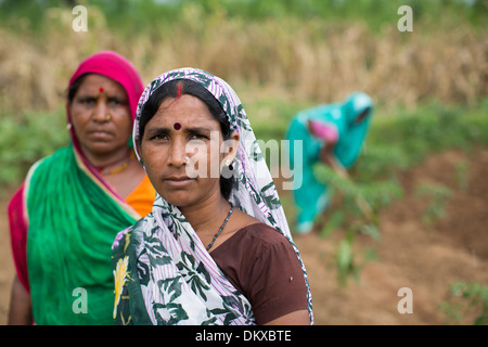 Les petits agriculteurs de l'État du Bihar, en Inde. Banque D'Images