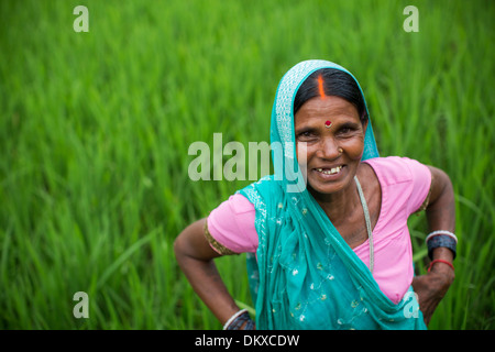 Femme dans un champ de riz dans l'État du Bihar, en Inde. Banque D'Images