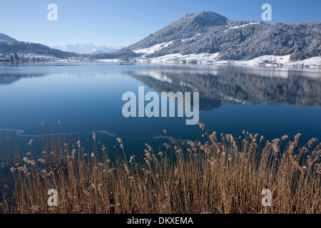 La Suisse, l'Europe, l'hiver, canton, SZ, Schwyz, Suisse centrale, lac, lac Aegeri, Morgarten Banque D'Images