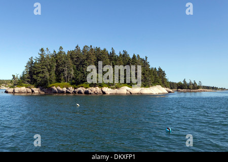 Petite île, erreur dans l'Est du port, Maine Banque D'Images