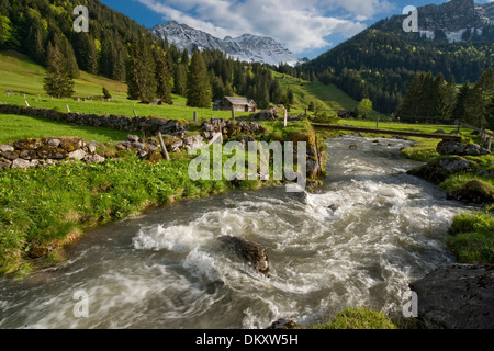 Suisse Europe Alpes Alp Luttertannen Säntis montagnes fleurs river flow brook plan d'eau eau eaux Banque D'Images
