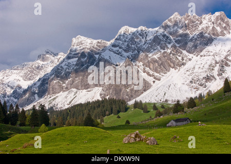 Suisse Europe montagne montagnes Alpes Alp Luttertannen canton d'eau AR Appenzell Rhodes-Extérieures canton SG Saint-gall St. Banque D'Images