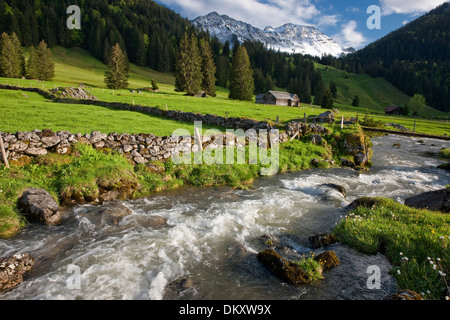 Suisse Europe Alpes Alp Luttertannen Säntis montagnes fleurs river flow brook plan d'eau eau eaux Banque D'Images