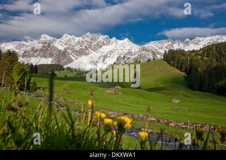 Suisse Europe montagne montagnes Alpes Alp Luttertannen canton d'eau AR Appenzell Rhodes-Extérieures canton SG Saint-gall St. Banque D'Images
