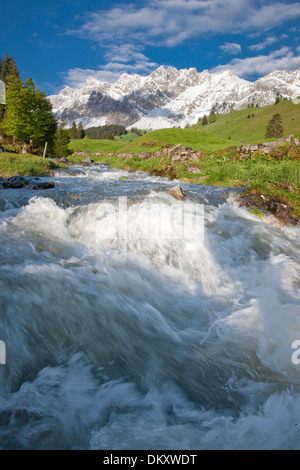 Suisse Europe Alpes Alp Luttertannen Säntis montagnes fleurs river flow brook plan d'eau eau eaux Banque D'Images