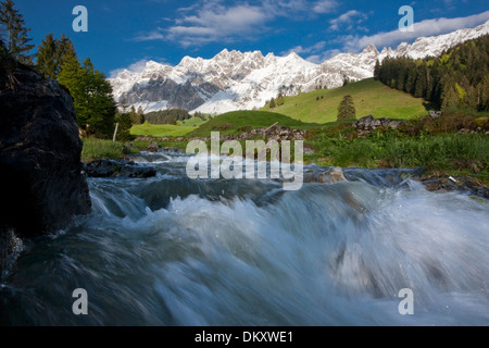 Suisse Europe Alpes Alp Luttertannen Säntis montagnes fleurs river flow brook plan d'eau eau eaux Banque D'Images