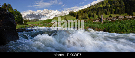 Suisse Europe Alpes Alp Luttertannen Säntis montagnes fleurs river flow brook plan d'eau eau eaux Banque D'Images