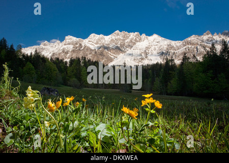 Suisse Europe Alpes eaux montagne montagnes canton canton Appenzell Rhodes-Extérieures AR SG Saint-gall Saint-gall Alpstein Banque D'Images