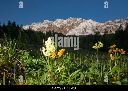 Suisse Europe Alpes eaux montagne montagnes canton canton Appenzell Rhodes-Extérieures AR SG Saint-gall Saint-gall Alpstein Banque D'Images