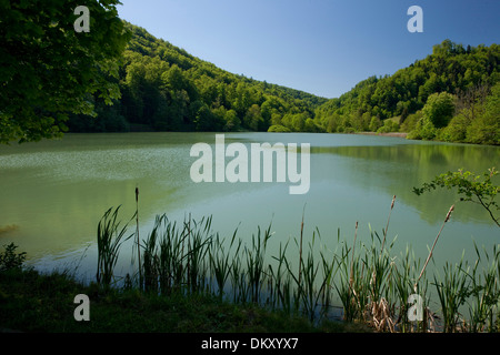 La Suisse, l'Europe, canton, JU, Jura, lac, bois, Forêt, Lac de Lucelle JU, Banque D'Images