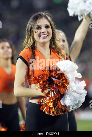 Eugene, OR, USA. 29 nov., 2013. 29 novembre 2013 : l'Oregon State University Cheerleader pendant la guerre civile de 2013 entre l'Oregon Oregon State Beavers et l'Oregon Ducks at Autzen Stadium, Eugene, OR © csm/Alamy Live News Banque D'Images