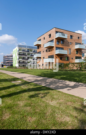 Woodcube, de maisons intelligentes, IBA, le Salon International de la construction, Wilhelmsburg, Hambourg, Allemagne Banque D'Images