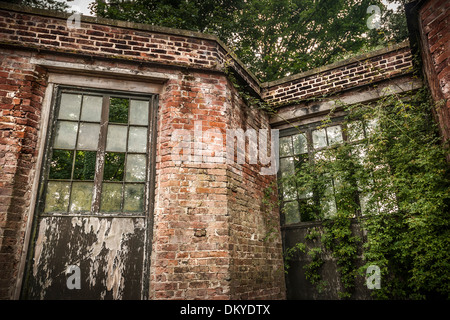 Abandonnés et envahis par la véranda victorienne avec toit manquant à Rode Hall, Cheshire, Royaume-Uni. Banque D'Images