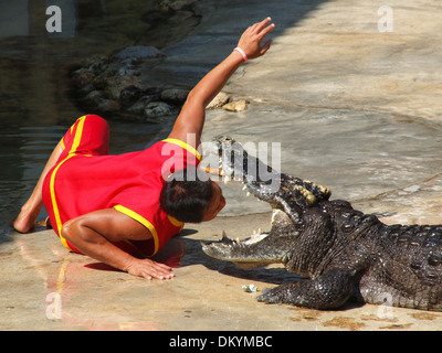 Homme met sa tête dans la bouche d'un crocodile dans un salon Banque D'Images