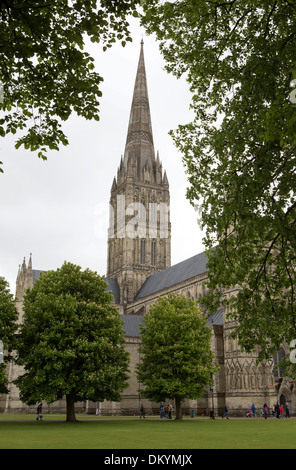 GV de la cathédrale de Salisbury, Wiltshire. 29 Mai 2013 Banque D'Images