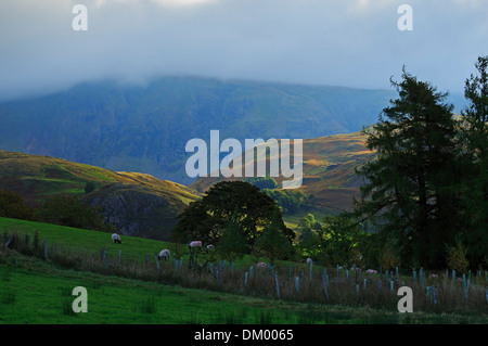 Vue sur St Johns, dans la vallée de front nid près de Keswick, Cumbria Banque D'Images