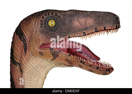 Coupe-tête de dinosaure Banque D'Images