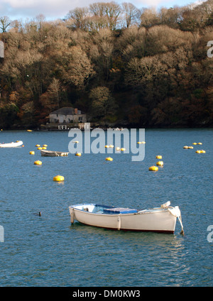 En hiver, la rivière Fowey Fowey, Cornwall, UK Banque D'Images