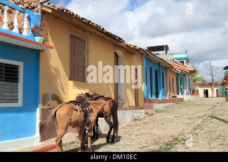 Les chevaux à l'extérieur de maison, Calle José Mendoza (Santa Ana), Trinidad, la province de Sancti Spiritus, Cuba, mer des Caraïbes, l'Amérique centrale Banque D'Images