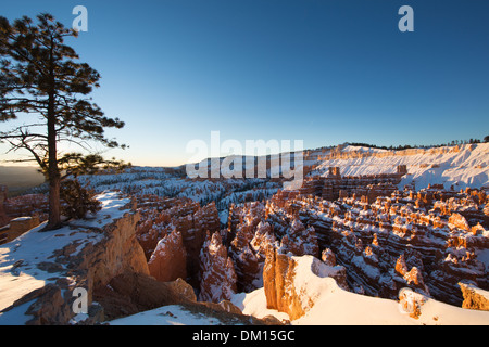 Les cheminées dans l'Amphithéâtre de Bryce Canyon en hiver à l'aube, Utah, USA Banque D'Images