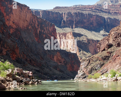 Quelques adeptes dans le domaine de l'Redwall Grand Canyon. Banque D'Images