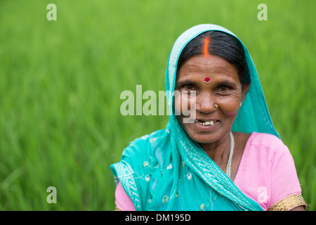 Femme dans un champ de riz dans l'État du Bihar, en Inde. Banque D'Images