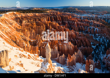 Les cheminées dans l'Amphithéâtre de Bryce Canyon à l'aube, Utah, USA Banque D'Images