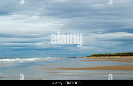 Plage de Bamburgh avec ciel nuageux bleu et blanc, Bamburgh, Northumberland, Angleterre, Royaume-Uni Banque D'Images