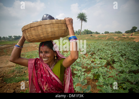 Dans l'État du Bihar agricultrice, de l'Inde. Banque D'Images