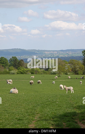 Vue sur la Montagne Noire dans le parc national de Brecon Beacons au Pays de Galles UK dans toute la vallée à Whitney on Wye Banque D'Images