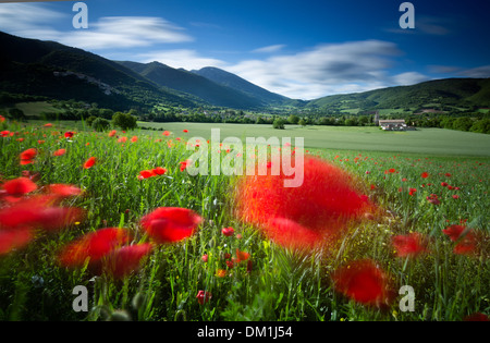 Domaine nr Campi, Ombrie, Italie Banque D'Images