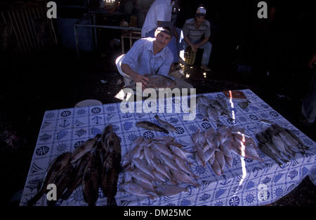 Marché aux poissons de Tripoli, Libye, Banque D'Images