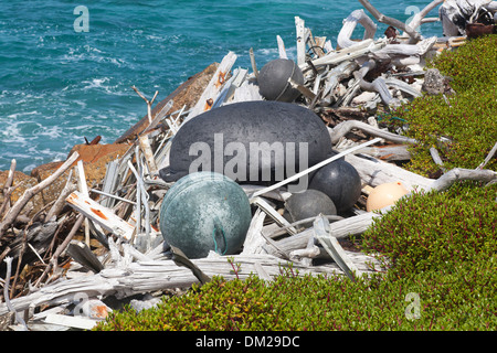 Les flotteurs et autres débris marins empêtré avec driftwood lavé à terre sur une île du Pacifique Nord Banque D'Images