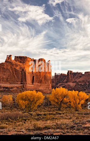 La lumière de l'automne dernier sur l'or des arbres cottonwood le long du palais de laver dans l'Utah Arches National Park. Banque D'Images