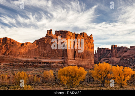 La lumière de l'automne dernier sur l'or des arbres cottonwood le long du palais de laver dans l'Utah Arches National Park. Banque D'Images