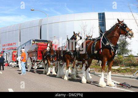 Boise State Broncos bataille contre le TCU Horned Frogs dans la 39e Fiesta Bowl annuel parrainé par les Tostitos. Le Budweiser Clydesdales en dehors du stade extérieur lors de festivités. Arborant (Crédit Image : © Tony Leon/ZUMApress.com) Southcreek/mondial Banque D'Images