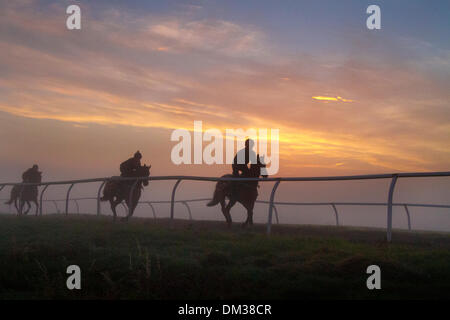 Couche de brouillard et d'inversion sur les Gallops de Middleham, tandis que le soleil se lève sur les Dales du North Yorkshire. Middleham possède désormais ses propres galops de course en herbe et toutes saisons avec rail de course en plastique sur piste de cheval sur les Moors basse et haute. Middleham est établi comme un centre de formation de cheval de premier plan au Royaume-Uni où sont basés quinze entraîneurs. Les installations et la disposition ont continué à s'améliorer, permettant aux entraîneurs d'envoyer des jockeys de forme et de compétition qui ont été récompensés par un succès supplémentaire au niveau supérieur. Banque D'Images