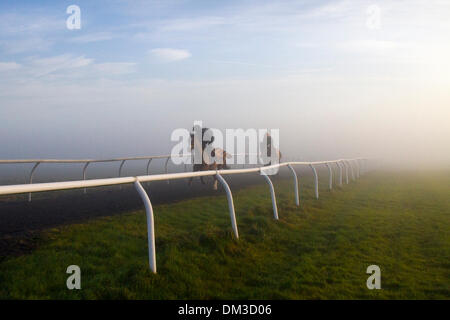 Météo France Brouillard et couche d'inversion au galope de Middleham, Cheval au galop sur le Nord du Yorkshire. Maintenant Middleham possède sa propre herbe et tous les temps galops et s'est imposé comme l'un des principaux centre de formation au Royaume-Uni où 15 formateurs sont fondées. Les installations et la mise en page ont continué à améliorer permettant aux formateurs d'envoyer monter et concurrentiel et les chevaux ont été récompensés par de nouveaux succès au plus haut niveau. Banque D'Images